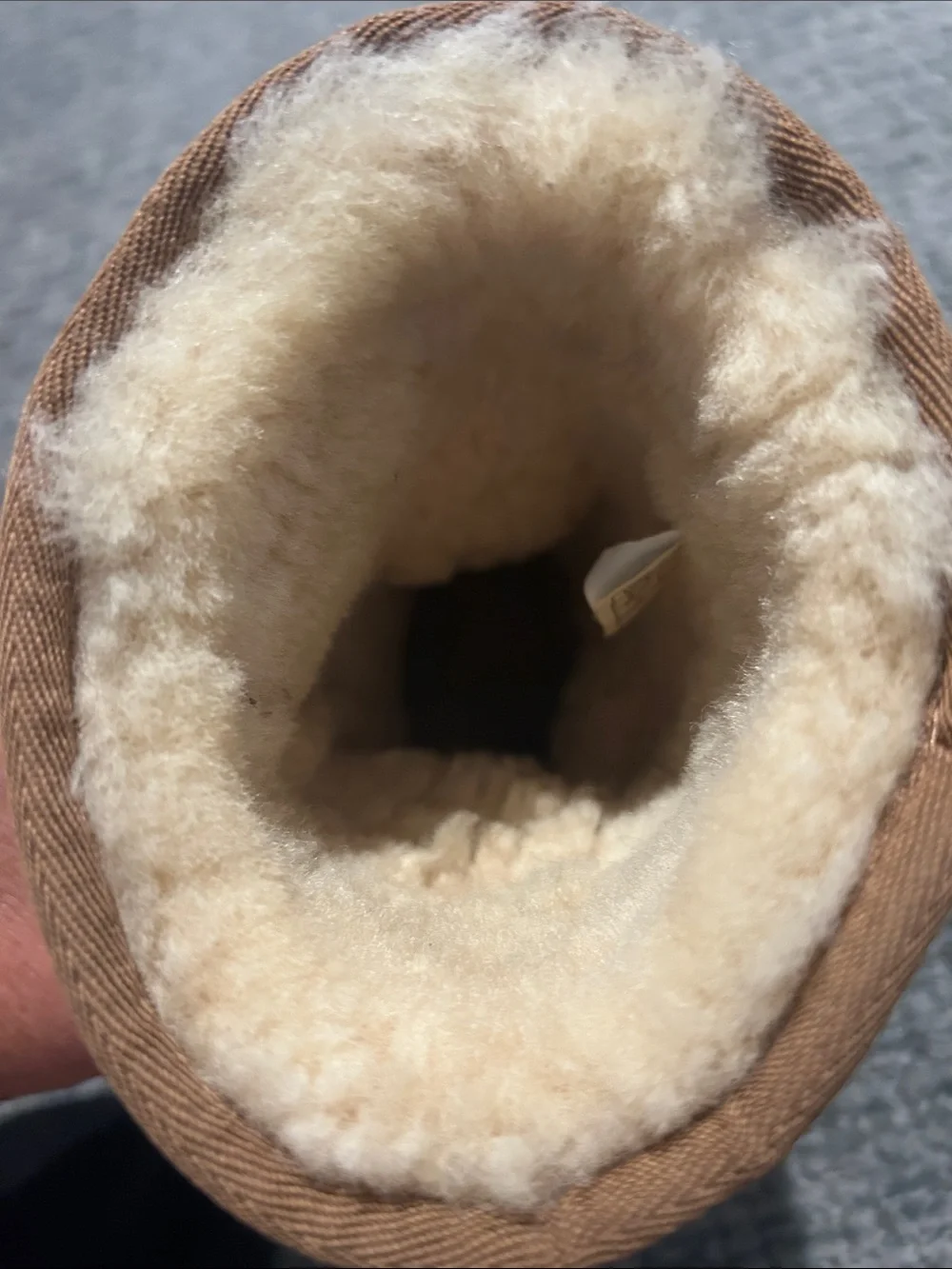 UGG classic ankle